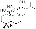 Rosemary Extract Powder 5 Carnosic Acid