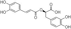 Rosemary Extract Powder 6 Rosmarinic Acid
