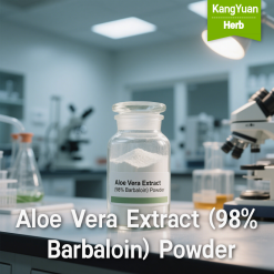 Aloe Vera Extract (98% Barbaloin) Powder | High Purity Ingredient Supplier - Kangyuan Herb