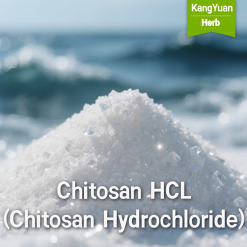 Chitosan HCL (Chitosan Hydrochloride) - Best Price Direct from Manufacturer - Kangyuan Herb