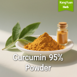 Curcumin 95% Powder | High Purity Turmeric Extract Supplier