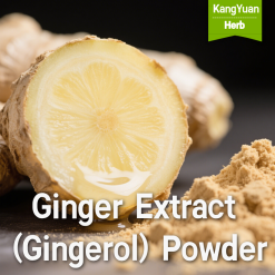 Ginger Extract (Gingerol) Powder | High Content Natural Digestive & Anti-inflammatory Ingredient Supplier - Kangyuan Herb