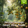 Garcinia Cambogia Extract (HCA) Powder | High Content Natural Weight Management Ingredient Supplier - Kangyuan Herb 1 GarciniaCambogiaExtractHCAPowder 2025 05 2713 00 32