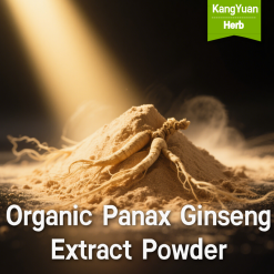 Organic Panax Ginseng Extract Powder | Kangyuan Herb - Premium Natural Plant Extracts Supplier