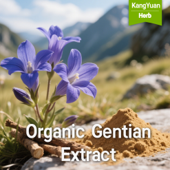 Organic Gentian Extract Powder | Natural Digestive Aid Ingredient Supplier - Kangyuan Herb