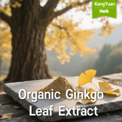 Organic Ginkgo Leaf Extract
