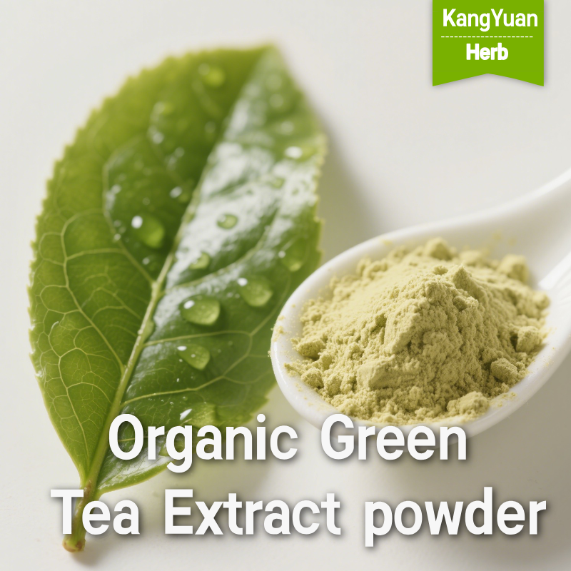 Organic Green Tea Extract powder manufacturers & suppliers 1 OrganicGreenTeaExtractpowder 2025 05 2302 09 59