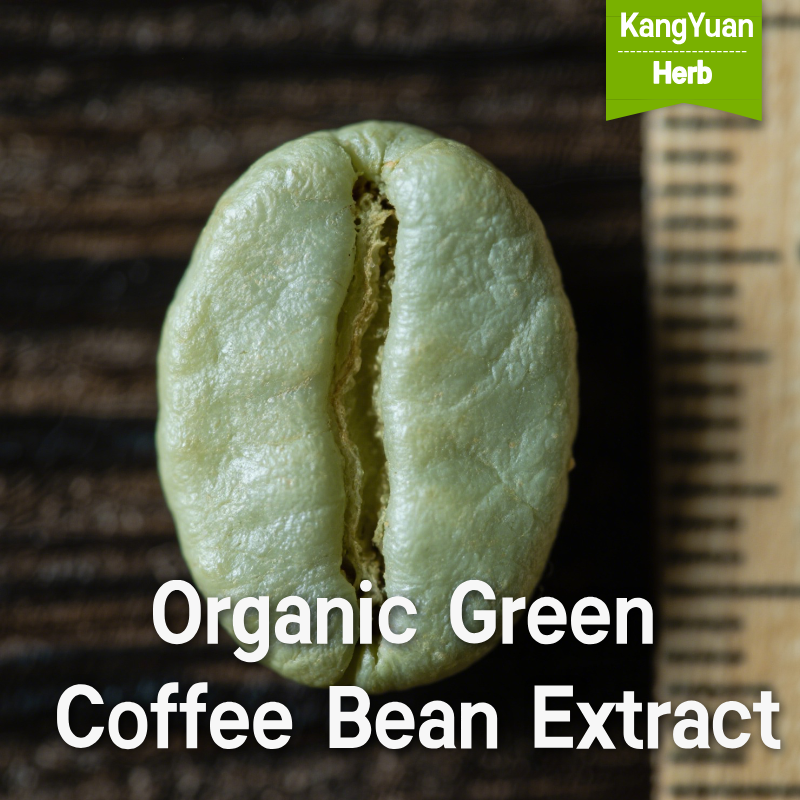 Organic Green Coffee Bean Extract 3 OrganicGreenCoffeeBeanExtract 2025 05 2301 53 00