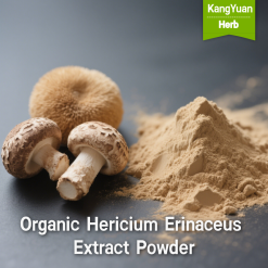 Organic Hericium Erinaceus Extract Powder | Lion's Mane Mushroom Extract Supplement