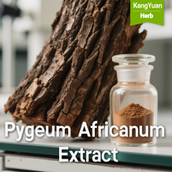 Pygeum Africanum Extract