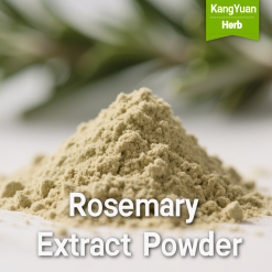 Rosemary Extract Powder