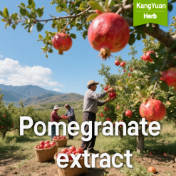 Pomegranate extract ellagic acid, punicalagin and polyphenol