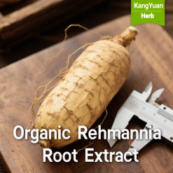 Organic Rehmannia Root Extract | Premium Chinese Herbal Ingredient Supplier - Kangyuan Herb