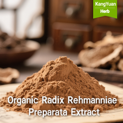 Organic Radix Rehmanniae Preparata Extract