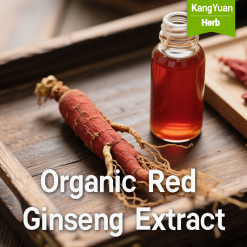 Organic Red Ginseng Extract | High Ginsenosides Supplier - Kangyuan Herb