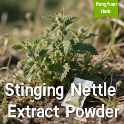Stinging Nettle Extract Powder