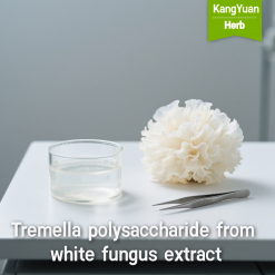 Tremella polysaccharide from white fungus extract