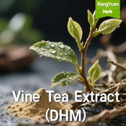 Vine Tea Extract (DHM) | Liver Support & Hangover Relief Ingredient Supplier - Kangyuan Herb