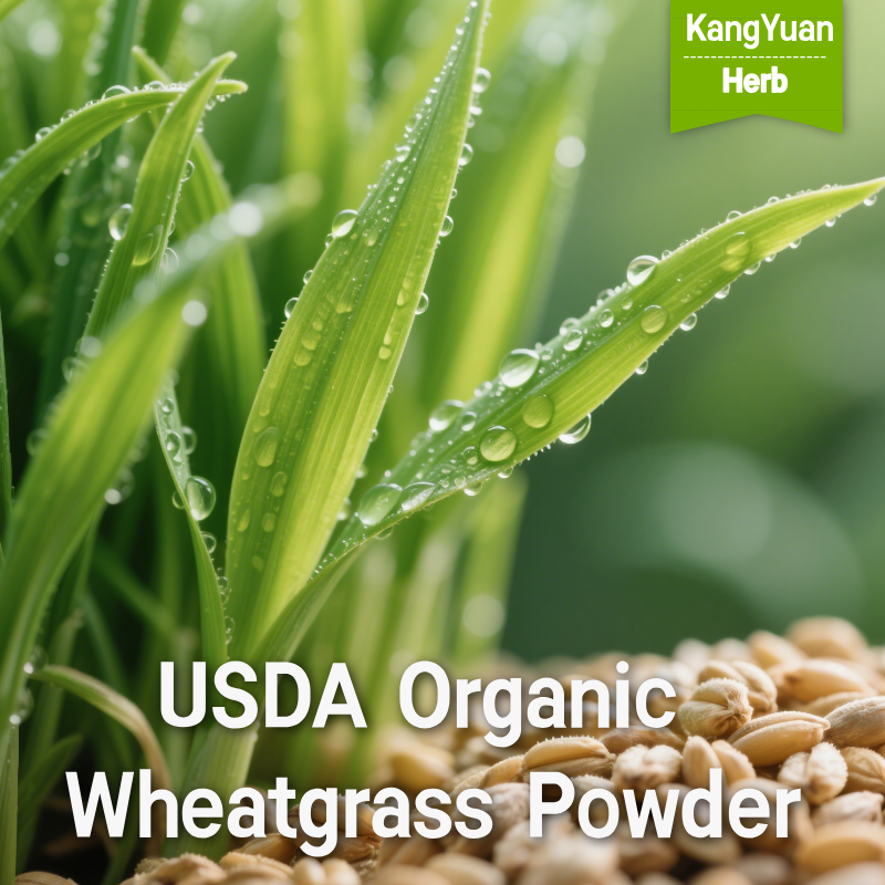 USDA Organic Wheatgrass Powder | Cold-Pressed 200 Mesh | Chlorophyll ≥2.5% | Kangyuan herb 3 USDAOrganicWheatgrassPowder 2025 05 2213 16 29