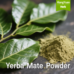 Yerba Mate Powder | Natural Energy & Antioxidant Ingredient Supplier - Kangyuan Herb
