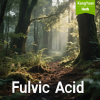 Fulvic Acid | Natural Mineral Nutrient Supplement Supplier - Kangyuan Herb 1 FulvicAcid 2025 05 2712 56 40