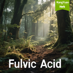 Fulvic Acid | Natural Mineral Nutrient Supplement Supplier - Kangyuan Herb