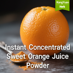 Instant Concentrated Sweet Orange Juice Powder | Natural Food Ingredient Supplier - Kangyuan Herb