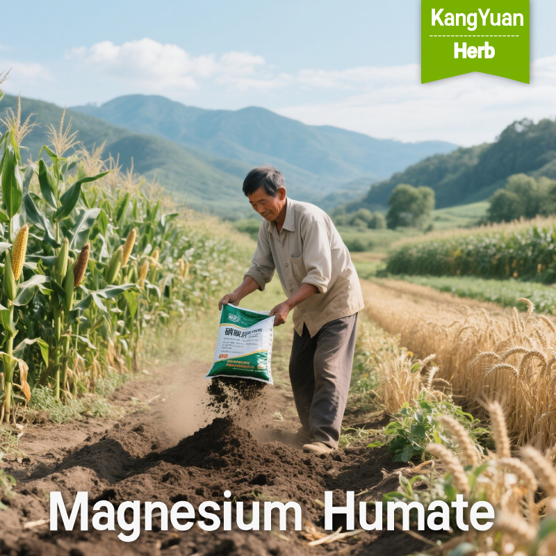Magnesium Humate | High Magnesium Content Agricultural Ingredient Supplier - Kangyuan Herb 3 MagnesiumHumate 2025 05 2713 09 44