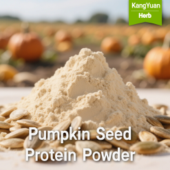 Pumpkin Seed Protein Powder (50-60%) | Premium Plant Protein Ingredient Supplier - Kangyuan Herb