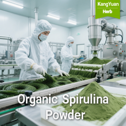 Organic Spirulina Powder | High Protein Natural Superfood Supplier - Kangyuan Herb