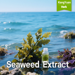 Seaweed Extract | Natural Plant Growth Stimulant & Fertilizer Synergist Supplier - Kangyuan Herb