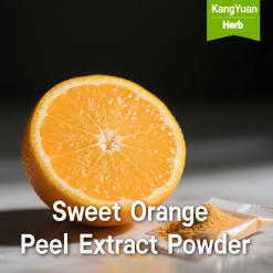 Sweet Orange Peel Extract Powder | High Flavonoids & Natural Ingredient Supplier - Kangyuan Herb