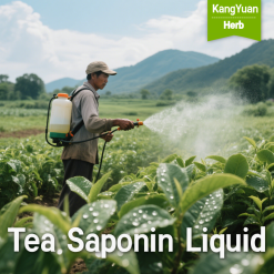 Tea Saponin Liquid | Natural Surfactant & Multifunctional Ingredient Supplier - Kangyuan Herb