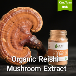 Organic Reishi Mushroom Extract Powder | High Polysaccharides & Triterpenes Supplier - Kangyuan Herb
