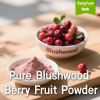 Pure Blushwood Berry Fruit Powder | Specialty Botanical Ingredient Supplier - Kangyuan Herb 1 PureBlushwoodBerryFruitPowder 2025 05 2118 20 22