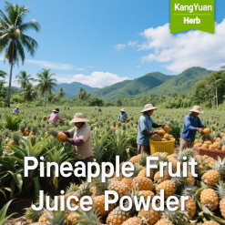 Pineapple Fruit Juice Powder | Natural Halal Food Ingredient Supplier - Kangyuan Herb
