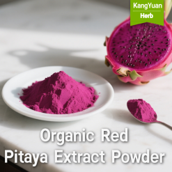 Organic Red Pitaya Extract Powder | Halal Natural Red Colorant Supplier - Kangyuan Herb