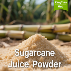 Sugarcane Juice Powder | Natural Halal Food Ingredient Supplier - Kangyuan Herb