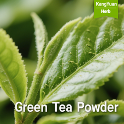 Green Tea Powder | Natural Antioxidant & Food Ingredient Supplier - Kangyuan Herb