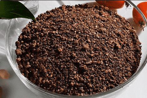 Tea Seed Cake without Straw 6 Tea Seed Cake without Straw